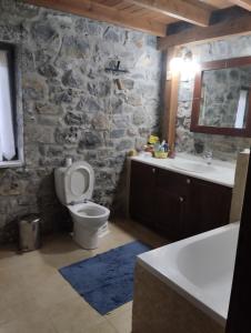 a stone walled bathroom with a toilet and a sink at Vitina Number 5 House in Vitina