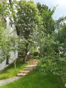 a stairway leading up to a house with trees at Home&Castle in Steinenbronn