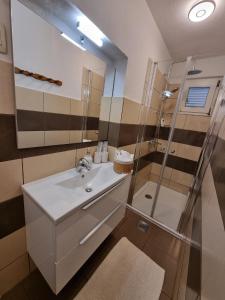 a bathroom with a sink and a shower at Apartment Lučka II in Banjol