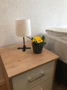 クライルスハイムにあるHotel am Wasserturmのギャラリーの写真