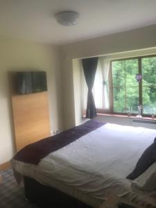 Un dormitorio con una cama grande y dos ventanas. en Lodge on Grounds of Ballykisteen Golf Resort, en Tipperary