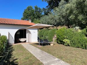a patio with an umbrella and a chair under it at Casa Rosmarino, grill, Wi-Fi by ToscanaTour in Riparbella +50 photos