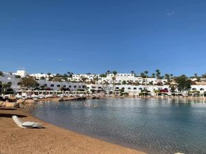 a beach with a bunch of ducks in the water at Domina Coral Bay Sultan Vista Mare Uno in Banī Ghālib