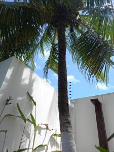 Foto sihtkohas Aracaju asuva majutusasutuse Pousada Graboschii, 300mt da praia do Refúgio galeriist
