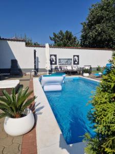 Πισίνα στο ή κοντά στο Apartman Avlija