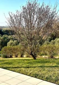 A garden outside Grand Afroditi LUX