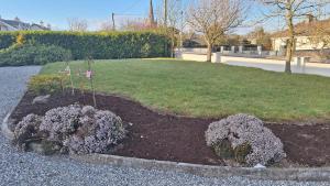 a garden with purple flowers in a yard at GlebeH Self Catering in Banagher