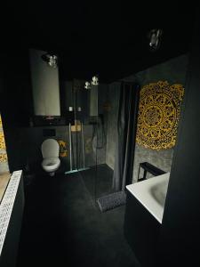 a bathroom with a toilet and a shower and a sink at Familien-Apartments Boulevard in Waldsassen +6 photos
