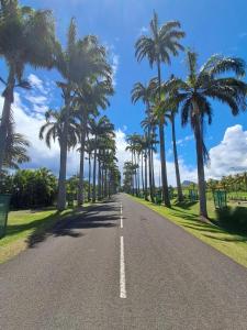 an empty road with palm trees on the side at Le Bon Logis du Carbet in Capesterre-Belle-Eau +8 photos