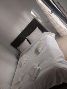 Φωτογραφία από το άλμπουμ του Cactus luxury apartment Oreoi στους Ωρεούς