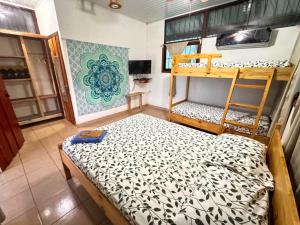 Postel nebo postele na pokoji v ubytování Hotel Delfines Puerto Jimenez