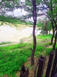 Galeriebild der Unterkunft Nata riverside in Nata + 35 Fotos