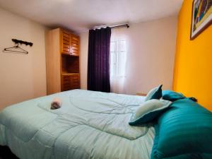 Postelja oz. postelje v sobi nastanitve Mico Loco Casa Hostal
