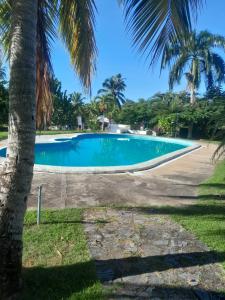 a swimming pool with palm trees in the foreground at Vacacional Laas Pascualas in Sánchez +13 photos
