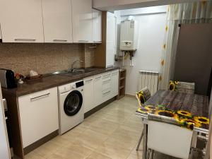 a kitchen with a sink and a washing machine at Apartamentul Verde in Tulcea