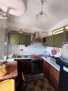a kitchen with green cabinets and a black dishwasher at Il Campanile Civico 35 in Aieta +37 photos