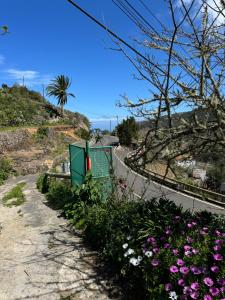 a road with flowers on the side of a hill at CommunityHostel CoCreation Project in Agulo