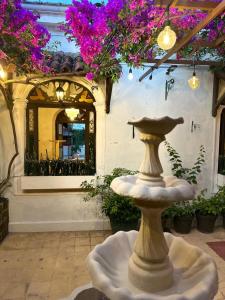 una fuente de piedra frente a un edificio con flores moradas en Hostal VELVET PLAZA, en Santa Ana