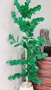 una planta verde en un jarrón blanco sobre una mesa en Hotel White Pearl, en Karachi