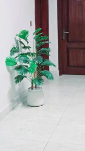 una planta en una olla blanca delante de una puerta en Hotel White Pearl, en Karachi