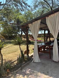 En have udenfor Casa de Campo Mamaia