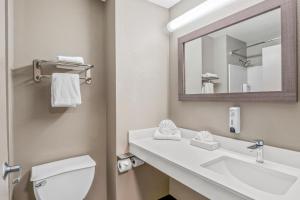 a bathroom with a sink and a toilet and a mirror at Red Roof Inn Southfield in Southfield