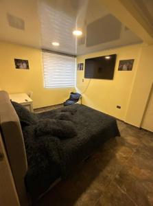 una camera da letto con un letto e una TV a schermo piatto di Finca Hotel Los Felipes - Neira a Neira