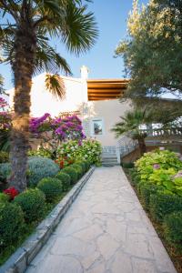 a walkway in a garden with flowers and a palm tree at Apartments Pende in Rab