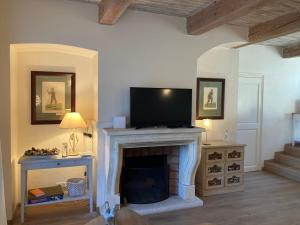 a living room with a fireplace with a flat screen tv at Appartement T2 sur le Golf de Saint Endréol,spa,piscine in La Motte
