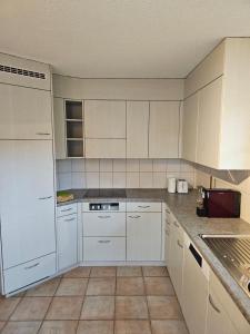 Kuchyň nebo kuchyňský kout v ubytování Tegerfelden Weinregion