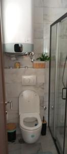 a bathroom with a toilet and a glass shower at Ruža vetrova A3 dupleks in Nova Varoš +22 photos