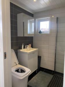 a bathroom with a toilet and a sink at Practical and cozy cottage in idyllic Senja 3 bedrooms in Senja +22 photos