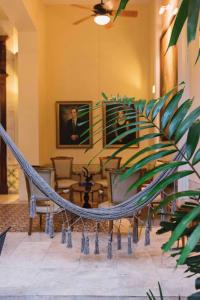 a hammock in a living room with a plant at La Casa del Centro, Mérida in Mérida