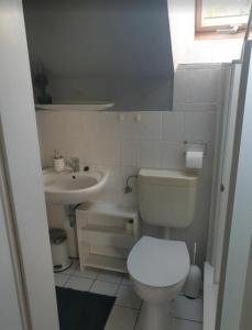 a bathroom with a toilet and a sink at Ferienwohnung Taube Hildesheim in Hildesheim +5 photos