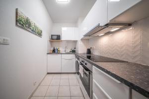 Dapur atau dapur kecil di Magnifique Logement 6 pers Near Basel Parking Wifi +3 gambar