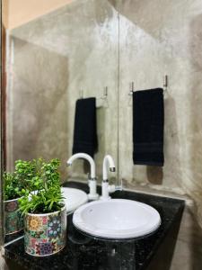 a bathroom with a sink and a potted plant at Pousada Zoom Jericoacoara in Jericoacoara +42 photos