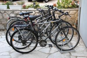 Jazda na bicykli v okolí ubytovania Studio Selce 4801a
