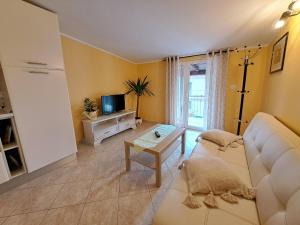 Μια τηλεόραση ή/και κέντρο ψυχαγωγίας στο Apartments with parking space Fiorini, Novigrad - 6926