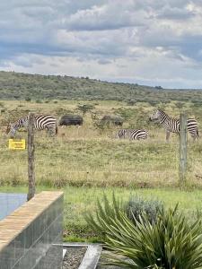 Gallery image of Faru House - Lake Nakuru National Park in Nakuru