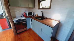 a small kitchen with a sink and a stove at Cabana Los Arrayanes in Coihueco