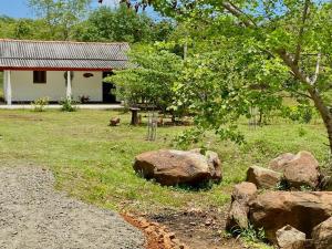 a yard with rocks in front of a house at Hena Villas in Kataragama