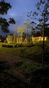 a park at night with trees and lights at Camping do Bosque - Deck 01 in Rodeio