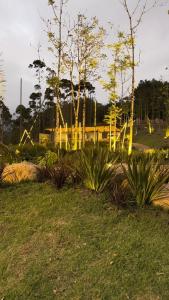 a park with trees and plants in the grass at Camping do Bosque - Deck 01 in Rodeio