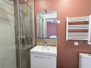 a bathroom with a sink and a shower and a mirror at Studio calme centre-ville Châteauroux avec parking - FR-1-591-725 in Châteauroux