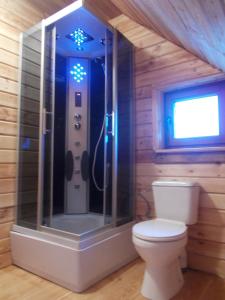 een badkamer met een douche en een toilet. bij Skarlinówka in Wawrowice