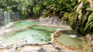 a pool of green water with a waterfall at KOKOA GARDEN INN in San Vicente de Chucurí