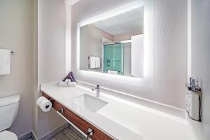 Koupelna v ubytování Holiday Inn Express & Suites Del Rio by IHG