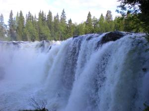 a waterfall in the middle of a forest at Ristafallets Camping in Nyland