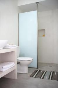 ヘルソニソスにあるAxos Apartmentsのバスルーム(トイレ、ガラス張りのシャワードア付)