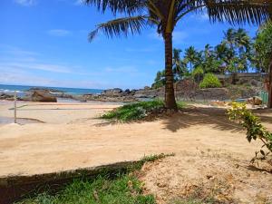 a sandy beach with a palm tree and the ocean at Chapel Home Stay in Ahungalla +7 photos